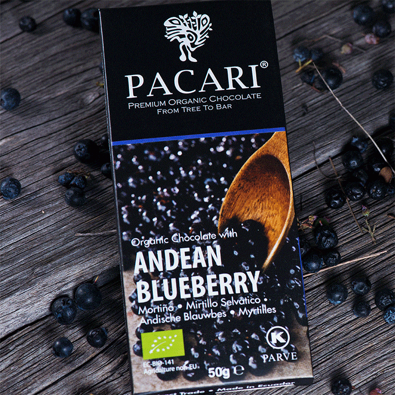 Carton of 10  Organic Chocolate Bars with Andean Blueberry