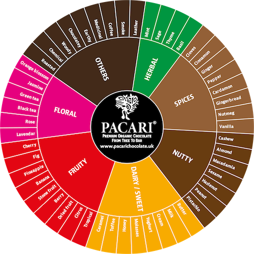 Online Pacari Family Group Chocolate Tasting Experience (UK only)