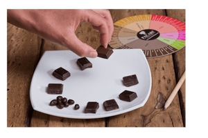 Chocolate tasting kit
