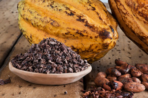 Raw (Unroasted) Organic Biodynamic Cacao Nibs (cacao pieces)
